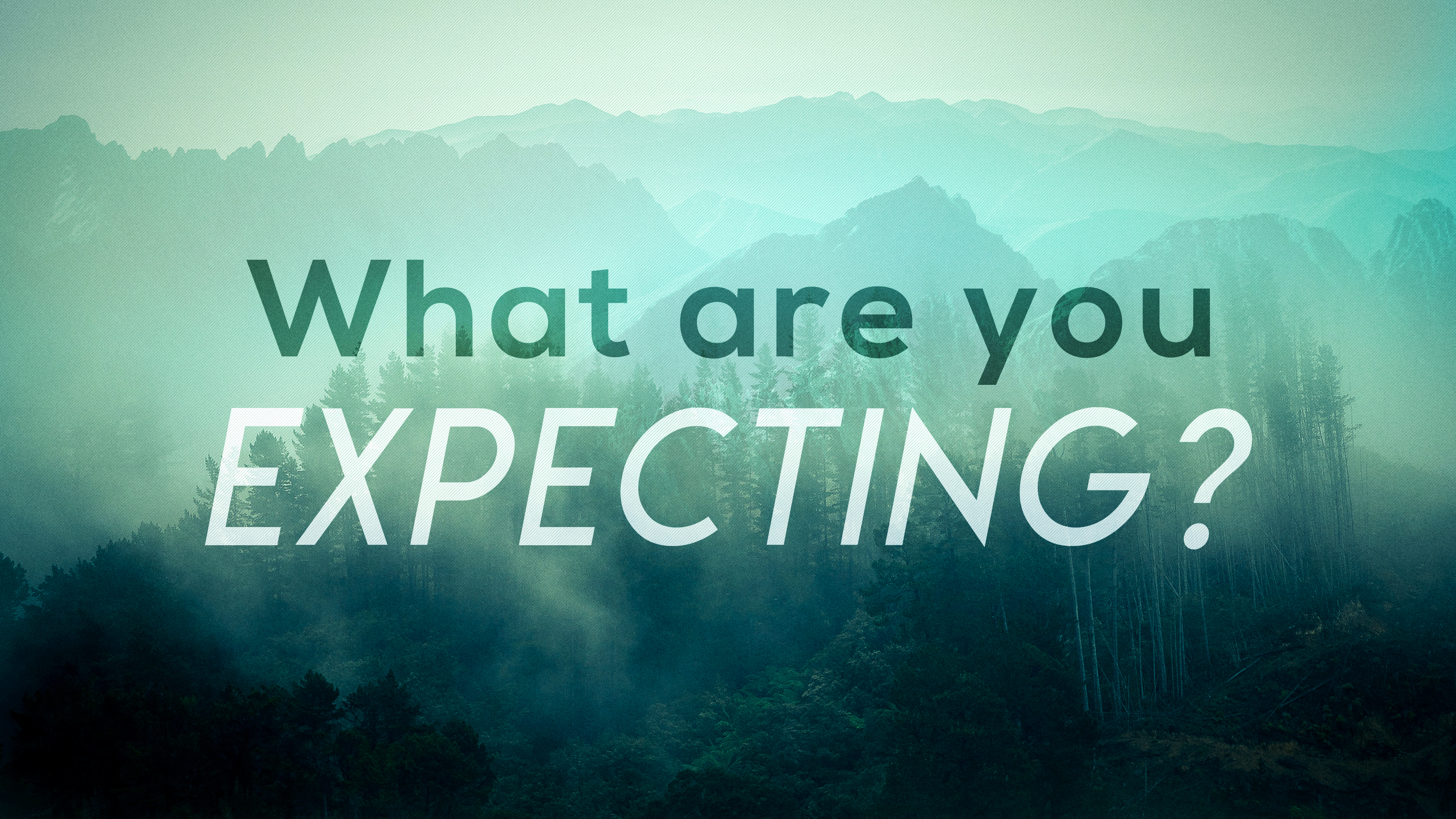 What are you expecting?